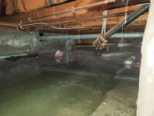 Best Water damage restoration near me  in Sewaren, NJ