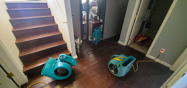 Best Flood damage cleanup  in Sewaren, NJ