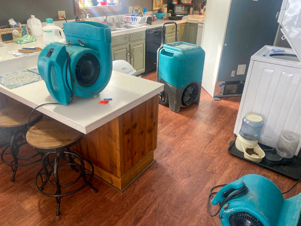 Best Sewage cleanup and water damage restoration  in Sewaren, NJ