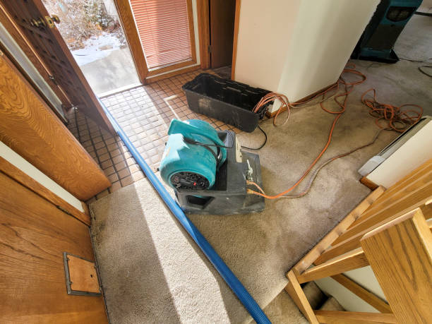 Best 24/7 water damage repair  in Sewaren, NJ
