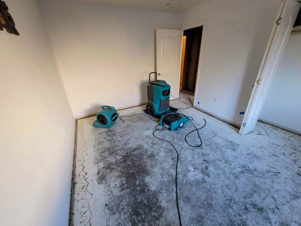 Water damage restoration experts in NJ