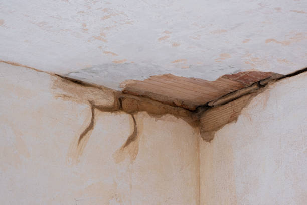 Best Carpet water damage restoration  in Sewaren, NJ