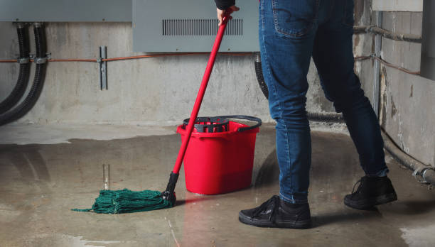 Best Water damage contractors near me  in Sewaren, NJ
